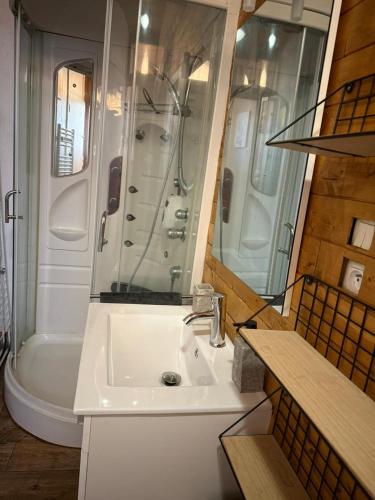 une salle de bain avec un lavabo, une douche et une baignoire dans l'établissement Gite de l'Ours, à Saint-Maurice-sur-Moselle