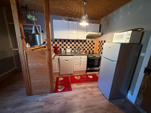 cocina pequeña con nevera y fogones en Gite de l'Ours, en Saint-Maurice-sur-Moselle