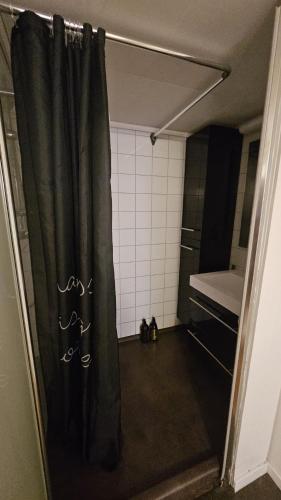 a room with a shower with a curtain in it at Central and Large cosey apartment in Stavanger