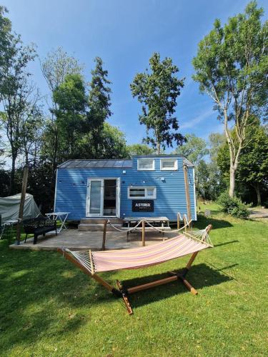 a blue tiny house with a hammock in the grass at Tinyhouse Bergharen in Bergharen