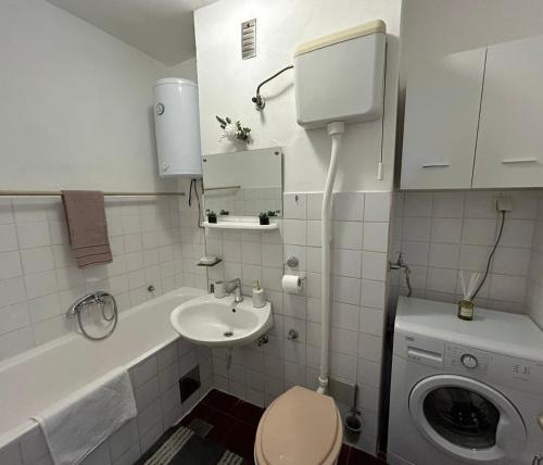Koupelna v ubytování Apartman Mirna