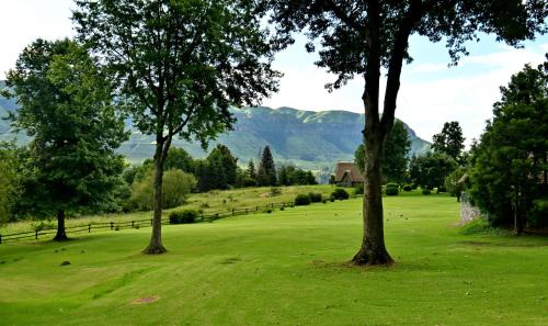 two trees in a field with mountains in the background at Champagne Castle Hotel in Champagne Valley