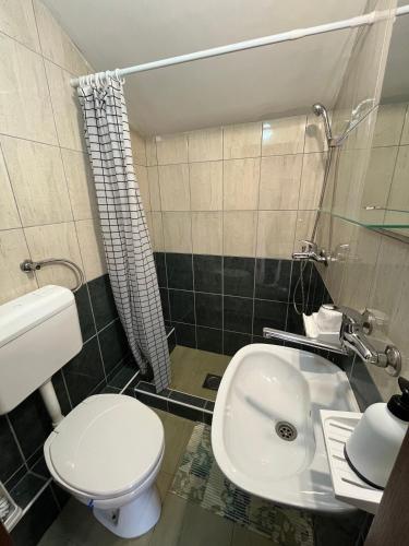 a bathroom with a white toilet and a sink at Sobe Zoka in Subotica