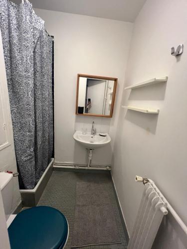 une salle de bain avec un lavabo, des toilettes et un miroir dans l'établissement Studio équipé Paris 20e, à Paris