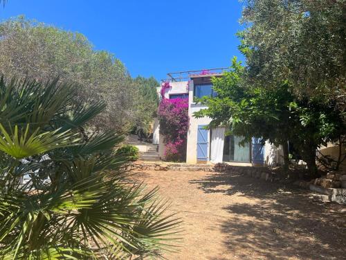 Maison à 50 mde la plage, pour 10 personnes en Corse du sud,