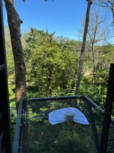 a view from the window of a tree house at Deer Houses Cabuya in Cabuya