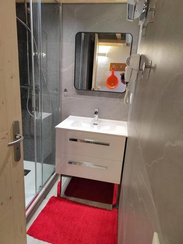 une petite salle de bain avec un lavabo et une douche dans l'établissement Studio chaleureux à Aime la Plagne 25 m² en montagne, à Aime La Plagne
