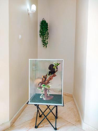 a glass case with a vase with a plant in it at ndalem singgah malioboro by abiza in Demangan
