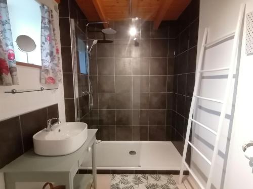 a bathroom with a sink and a shower at La Vieille Gorce Gîtes in the Vienne in Asnois