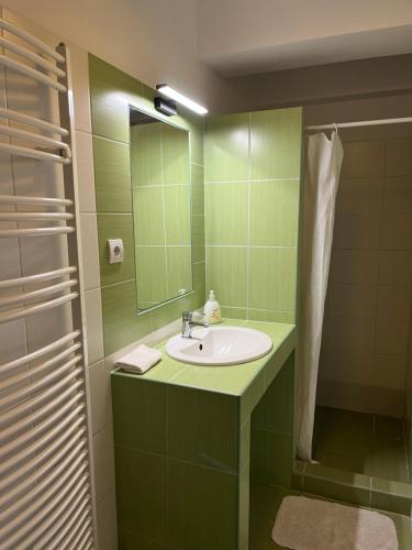 a green bathroom with a sink and a mirror at Belvárosi Rezidencia Pápa in Pápa