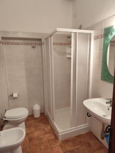 a bathroom with a shower and a toilet and a sink at Casa del Contadino in Sansepolcro