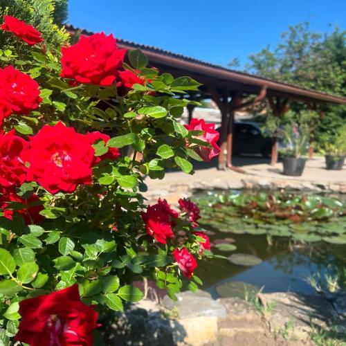 a group of red roses next to a pond at OP-ART Étterem és Panzió in Monor