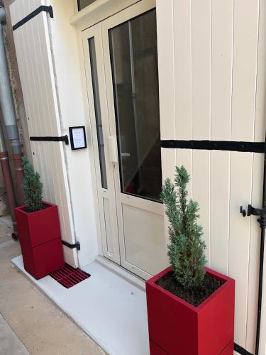 two potted plants sitting in front of a door at Eymet Holiday Rentals in Eymet