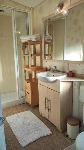 une salle de bain avec un lavabo et un miroir dans l'établissement Mobil en Camargue Climatisé, chemin de compostelle, à Vauvert