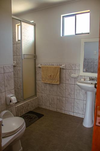 a bathroom with a shower and a toilet and a sink at DEL VALLE HOUSE II in Ica