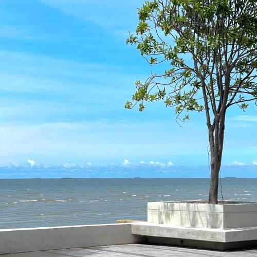 a tree sitting next to the ocean at Cozy House, Wonnapha Beach, Bangsaen in Ban Bang Saen (1)