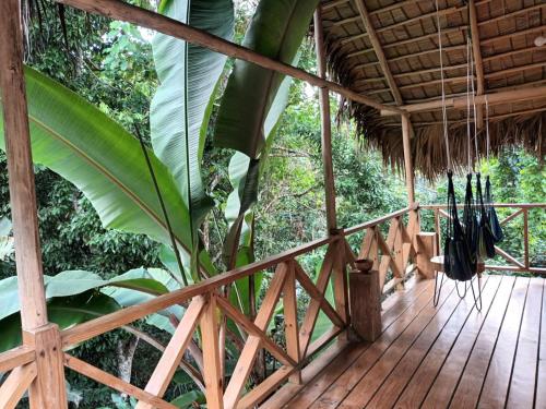 Jardin de l'établissement Samo Eco Lodge