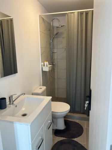 a bathroom with a sink and a toilet and a shower at LaLa HOME in Oradea