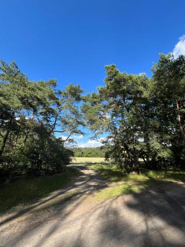 a dirt road with trees on the side of it at TOP-Ferienwohnung bei Berlin, bis 3 Gäste, Terrasse und Garten in Bestensee
