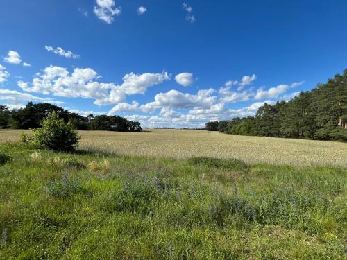 a field of grass with a blue sky and clouds at TOP-Ferienwohnung bei Berlin, bis 3 Gäste, Terrasse und Garten in Bestensee
