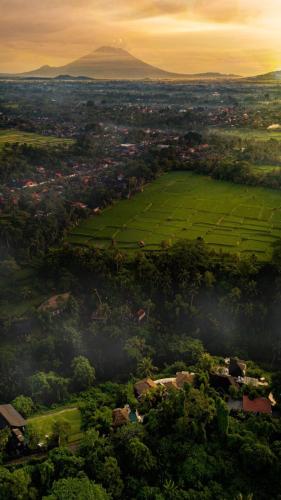 an aerial view of a field with a mountain in the background at Villa Cella Bella Ubud in Ubud