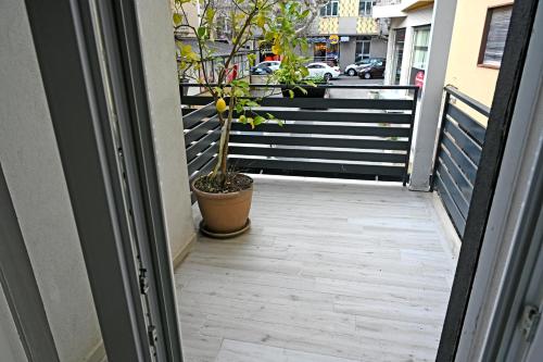 an open door to a balcony with a potted plant at B&B Diana in Piazza Armerina