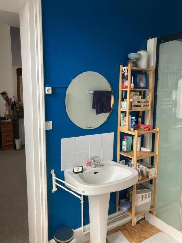 a bathroom with a white sink and a mirror at Maison Dentelle in Caudry