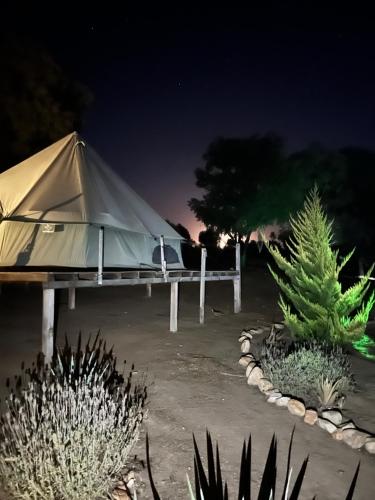 a tent in the middle of a yard at night at Lago Valle Wine Glamping in Valle de Guadalupe