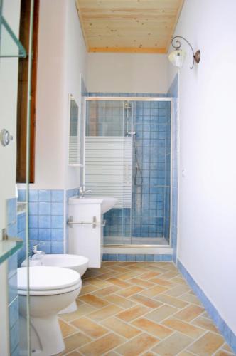 a bathroom with a toilet and a sink and a shower at Domus Agricolae Corallina in Torre del Greco
