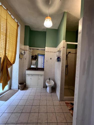 une salle de bain avec douche et toilettes dans l'établissement Nice authentic house, à Ardes-sur-Couze