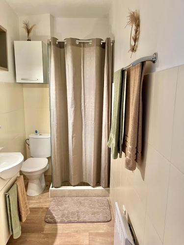 une salle de bain avec un rideau de douche et des toilettes dans l'établissement Coquet T2 pres des plages, à Propriano