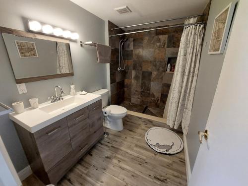 a bathroom with a sink and a toilet and a shower at The Flo's House in Tampa