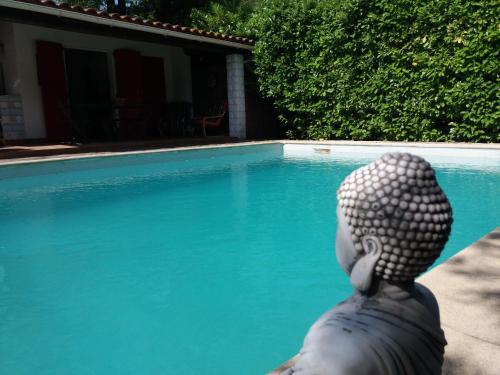 une statue d'ours en peluche à côté d'une piscine dans l'établissement Lacasapaïs, à Bourdic