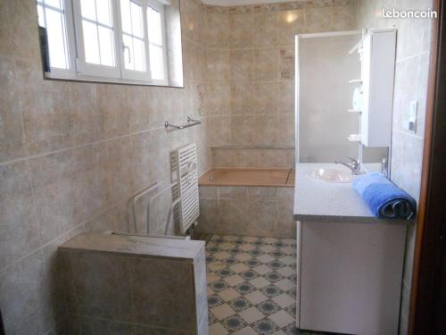 La salle de bains est pourvue d'un lavabo et d'une douche avec baignoire. dans l'établissement Gîtes à la ferme de la Seille Lorraine, à Létricourt