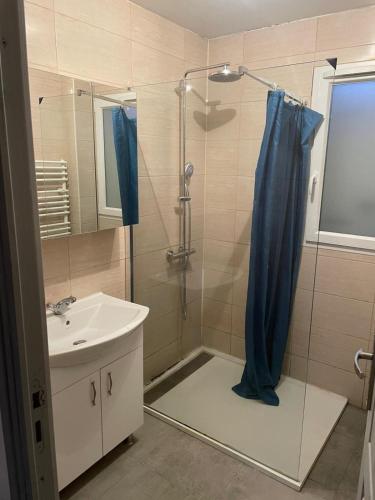 une salle de bain avec douche et lavabo dans l'établissement Recent home, à Aubière