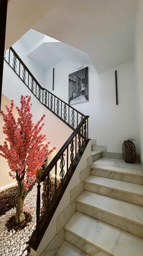 a staircase in a house with a tree at La Casa del Escudo in Trujillo
