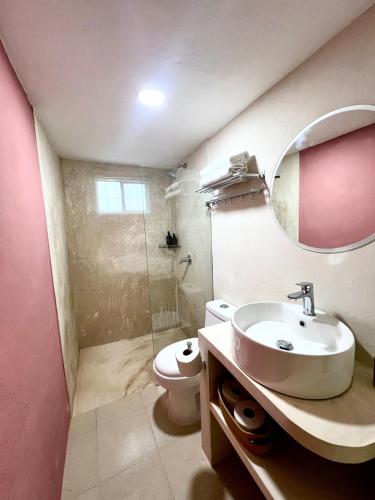 a bathroom with a sink and a toilet and a mirror at Casa en el Centro de Mérida, 5 habitaciones y 3 baños, ideal para grupos in Mérida