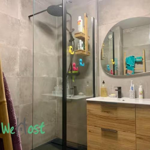 une salle de bain avec une douche, un lavabo et un miroir dans l'établissement Gambetta - LB - Annecy - Close to center -Balcony mountain view, à Annecy