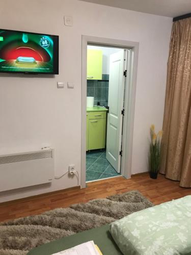 Η κουζίνα ή μικρή κουζίνα στο One Room Apartment Ptm 2