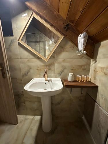 a bathroom with a sink and a mirror at Ο Σκίουρος Παραδοσιακοί Ξενώνες in Oíti