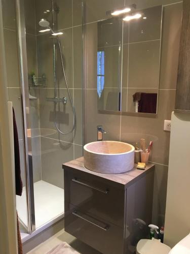 une salle de bain avec un lavabo et une douche dans l'établissement LA COUTAUDIE 19 couchages, à Lacropte