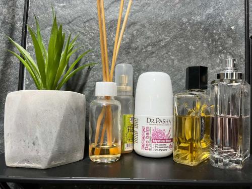 a table with several bottles of oils and a plant at Park Apartment in Foča