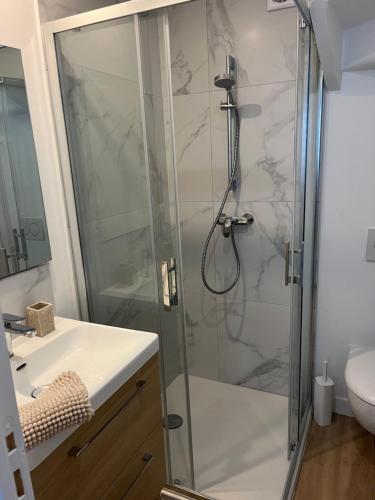 een badkamer met een douche en een glazen douchecabine bij Oscaria, centre Reims, plein pied in Reims