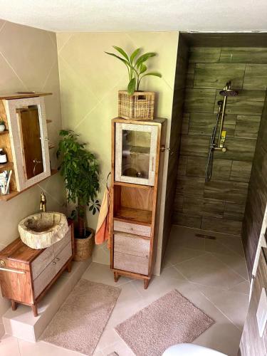 a bathroom with a sink and a shower at Barn Apartment in an Old Farmhouse near Vaduz in Sevelen