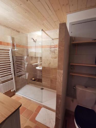 une salle de bain avec douche et toilettes dans l'établissement Appartement refait à neuf pour 8 personnes à Albiez-Montrond, à Albiez-Montrond