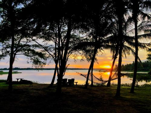 a hammock on the shore of a lake at sunset at Yala Lucas Lake Hotel in Tissamaharama