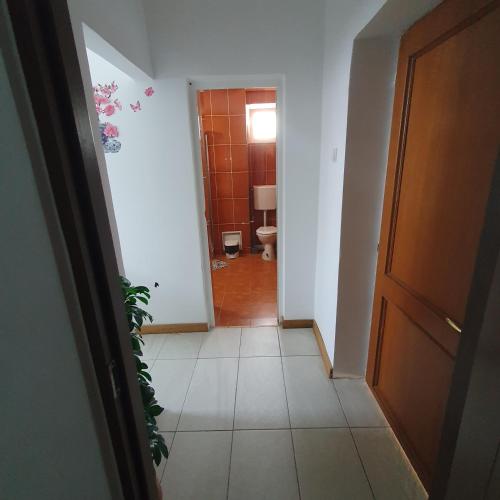 a hallway with a bathroom with a toilet and a door at Garsoniera in Ocniţa