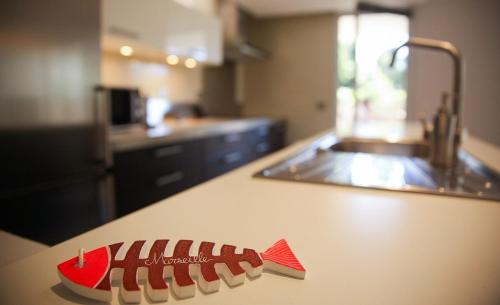 un comptoir de cuisine avec un objet rouge sur un comptoir dans l'établissement T3 TERRASSE SUD Marseille 13009, PARC DES CALANQUES, à Marseille