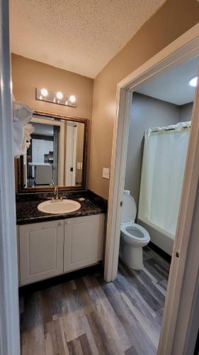 a bathroom with a sink and a toilet and a mirror at Live In Lodge Stone Mountain in Stone Mountain