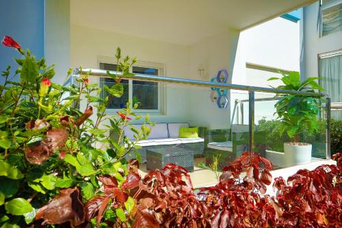 a room with a bunch of plants in it at Smart home in Cabo Negro